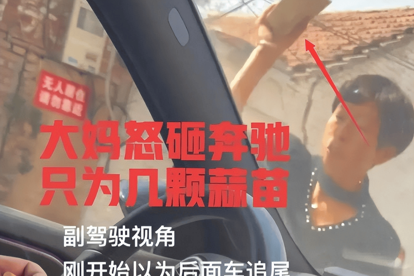 原创小事闹大了河南大妈因蒜苗被压怒砸奔驰车冲动一时后悔一生