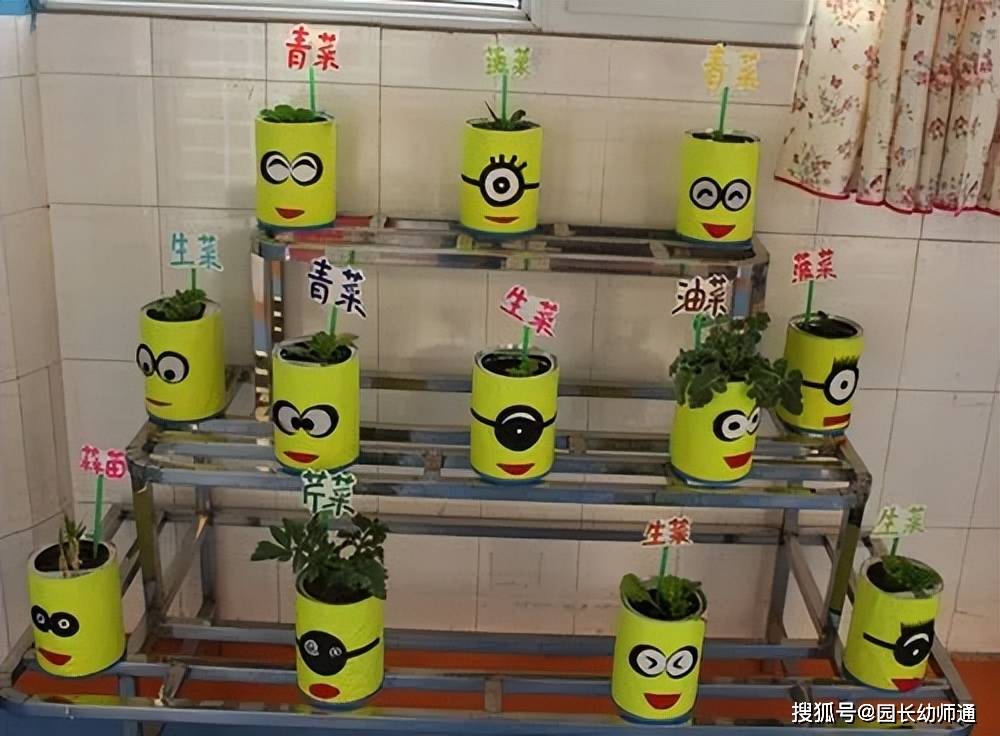 幼儿园百变创意种植,让幼儿走进生机盎然的"自然界"!
