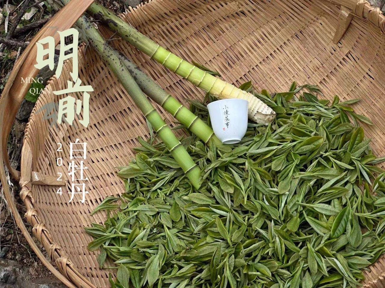 原创新手爱喝老手避之不及冷泡茶在资深茶圈真的人人喊打吗