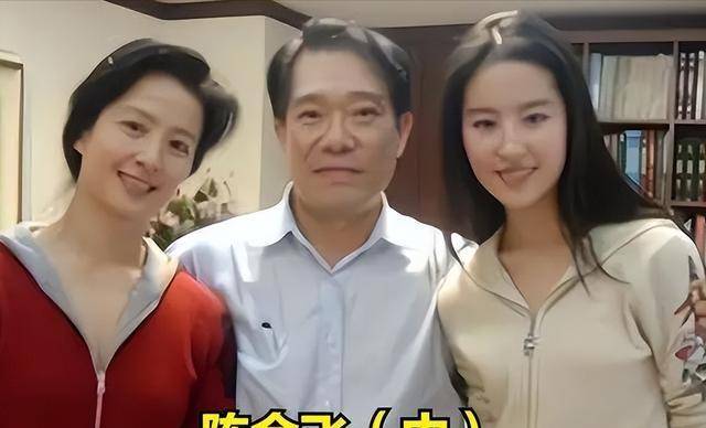 刘亦菲和杨采钰都是陈金飞力捧的女星境遇却大不相同