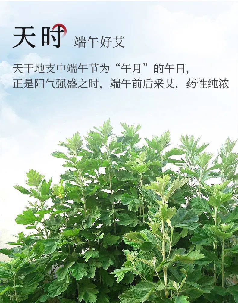 问止中医五千年前先民就学会了利用太阳的力量治病