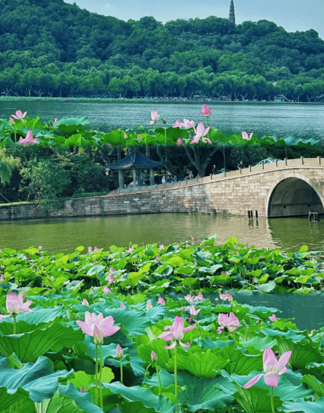 杭州五十个免费景点图片