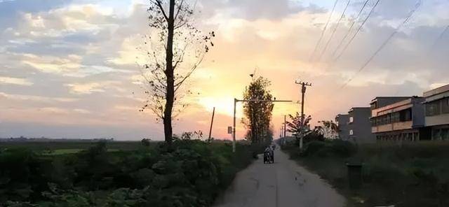 四川广安市岳池县的蔡家沟村,有一个远近闻名的奇葩.