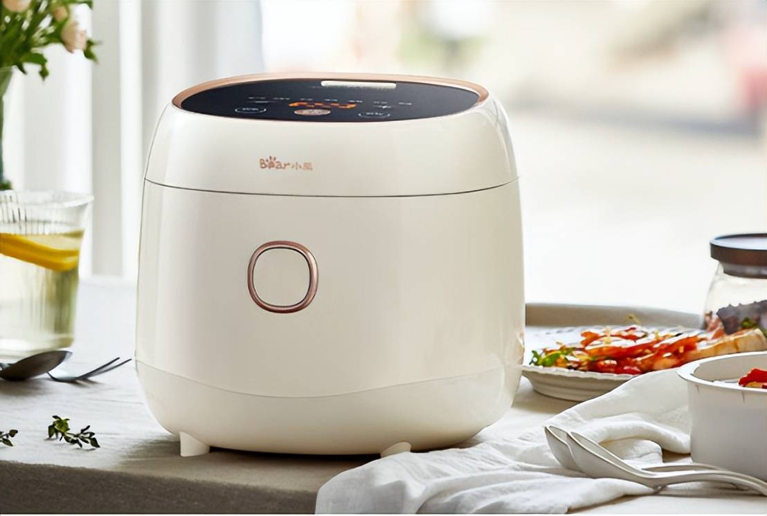 十大网红电饭煲品牌排行5000字盘点十款高人气单品