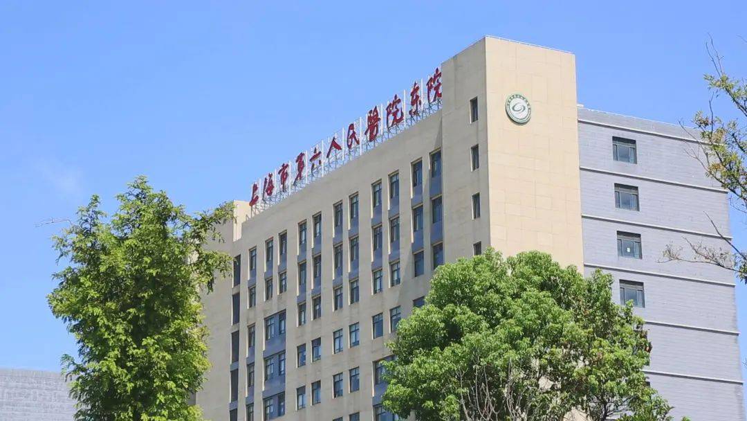 医疗方面,项目周边有三甲医院——上海市第六人民医院东院,为业主的