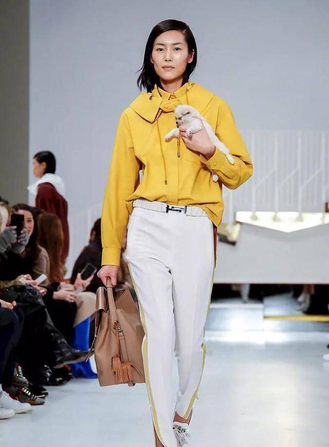 宠物t台走秀天生标准猫步的喵星人已经等不及了