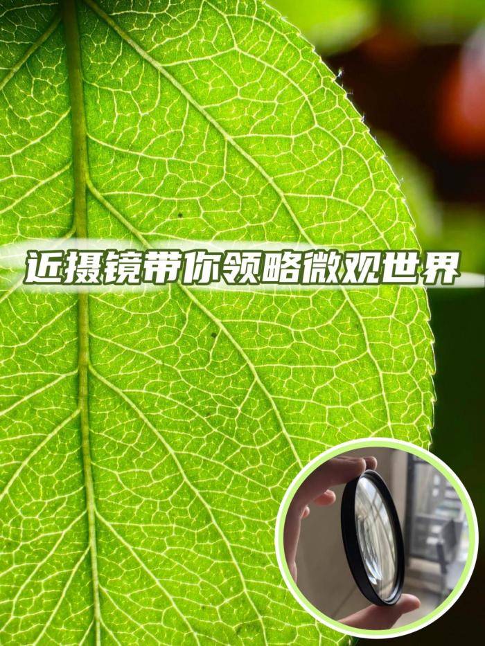 近摄镜带你领略微观世界
