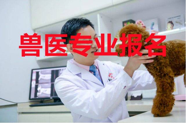 湖南省畜牧兽医动物医学成考招生院校毕业可考执业兽医资格证