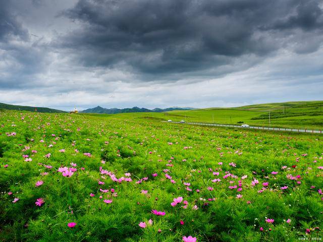 纯玩跟团甘南六日游攻略,甘南6日畅游组团报价多少_草原_夏天_郎木寺