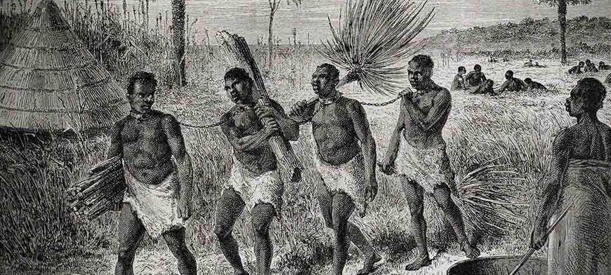 1510年,西班牙国王听从卡萨斯的建议,下令将50名黑