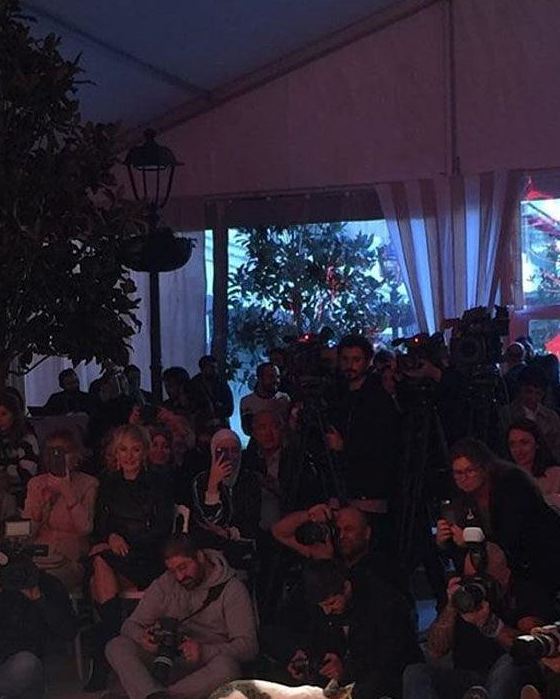 原创冒失猫误闯入秀场不顾形象成主秀网友这才是真正的猫步