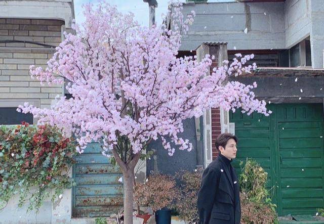 李敏镐终于现身好性感光着膀子穿衬衣拍大片就是比剧差远了