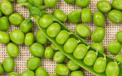 豌豆:《本草纲目》记载,豌豆具有"去黑黯,令面光泽"的功效.