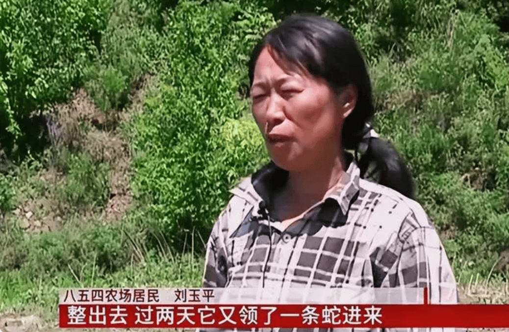 蛇能被养熟吗一农妇与蛇窝同居十年泰国毒王却被一口咬死