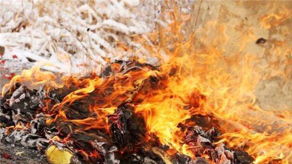 苍蝇群指引的案中案现场挖出焚烧过的纸钱手电筒亮了长达半年