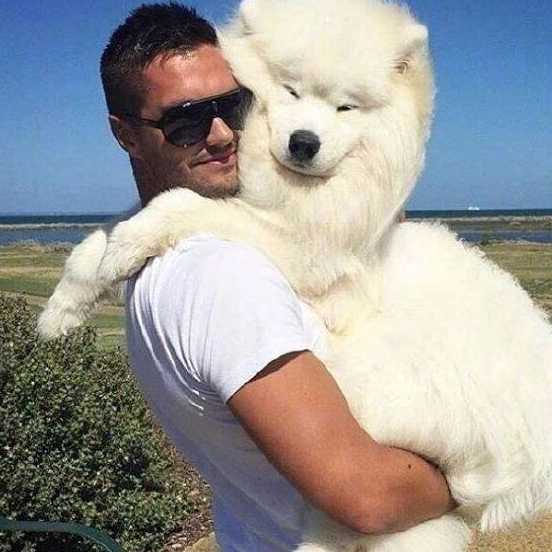 也有一部分人喜欢自带凶猛气质的犬种,比如一些比特犬,大型斗牛犬