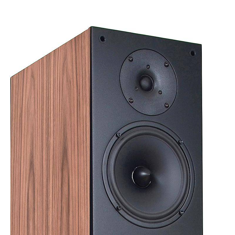 平易近人的芬兰箱评芬兰penaudioambienttwo音箱