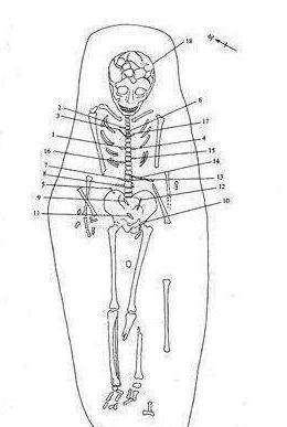七千年前的零口姑娘究竟是怎么死的