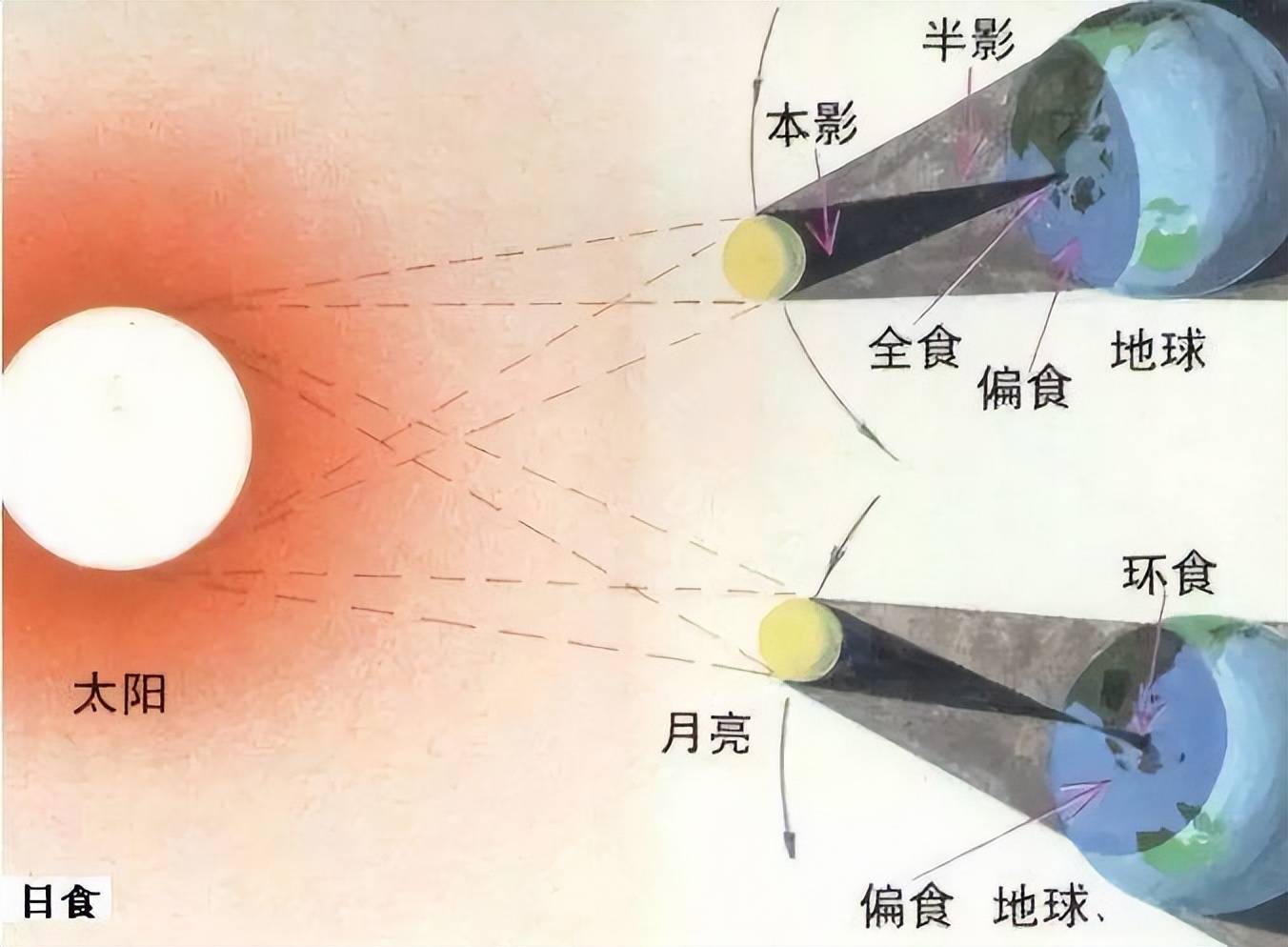日全食和日偏食原理图图片