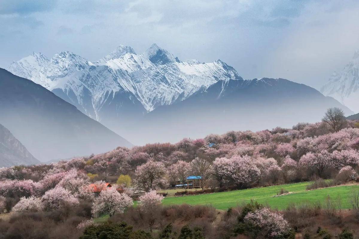 鲁朗林海风景区图片