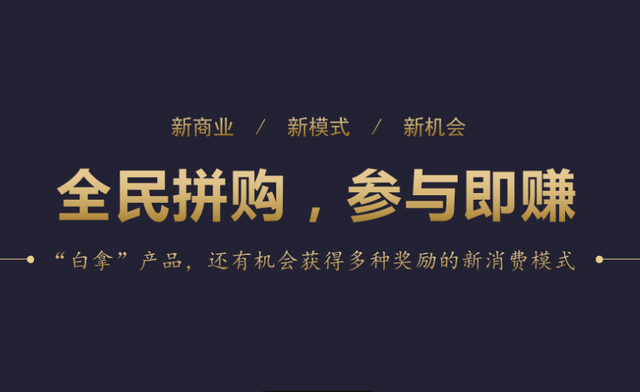 全民拼购挖掘被忽视的巨大潜力深度解析其模式与玩法