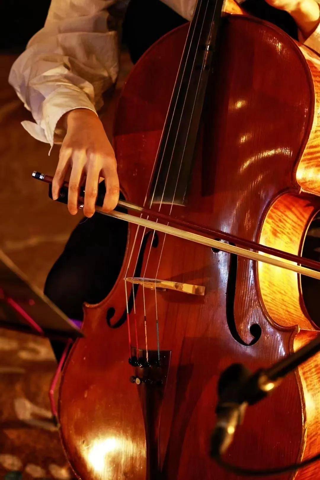 春天本该很好 | 永远最爱·演唱会——继续宠爱张国荣