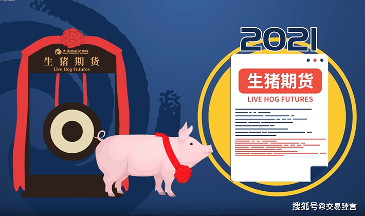 生猪期货产业链分析基础信息