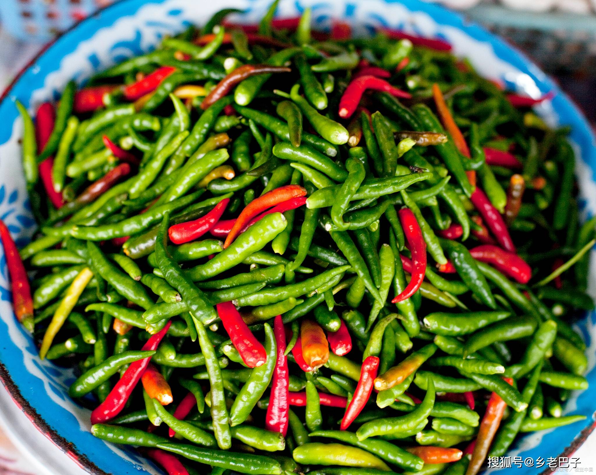 酸豆角简易制作方法人人可学人人可做一年四季都可吃