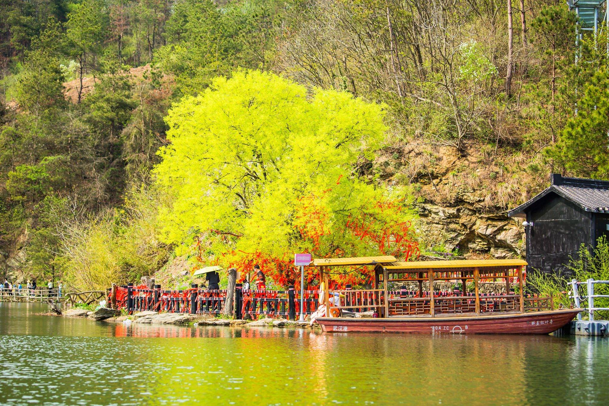 武汉黄陂清凉寨,环境优美,樱花盛开,是一处远离喧嚣的世外桃源