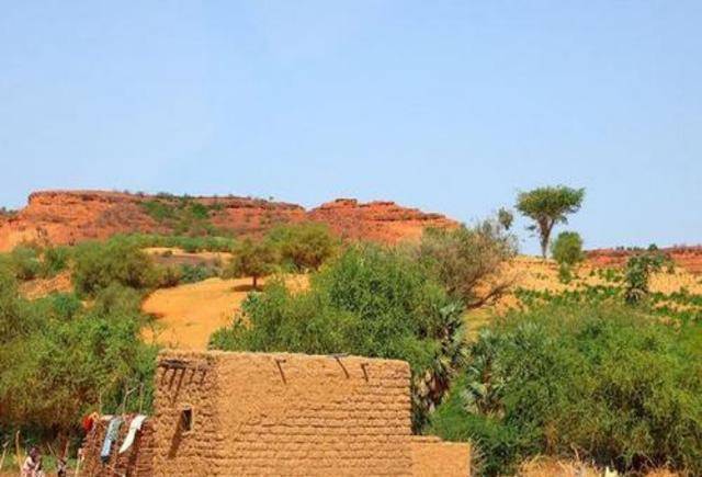 世界上贫穷的国家之一,但畜牧业发达,人民虽穷却天天吃肉_尼日尔_原因