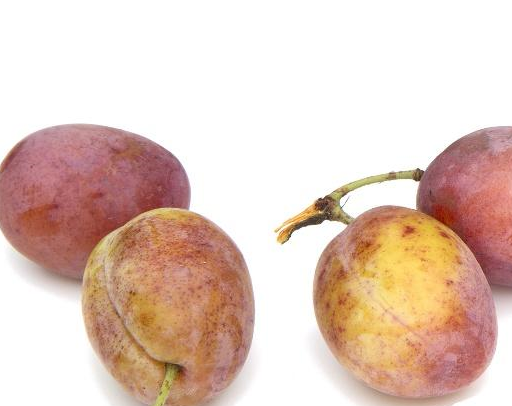 时候_水果_人们