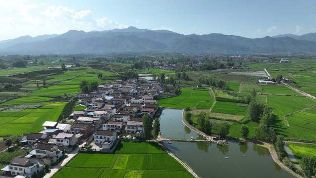 文川镇多措并举扮靓和美乡村系统施策建家园内外兼修促和美