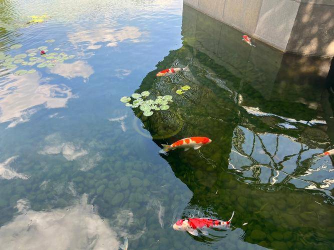 两个人去苏杭西湖玩五天旅游攻略5天人均消费