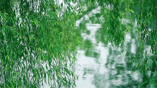 春天到鼻炎闹鼻炎防治有诀窍这3招管用