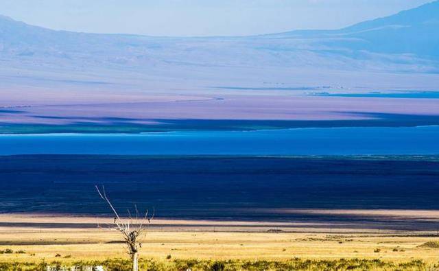 我国西域的图古勒池,也就是现在距离我国新疆阿拉山口30公里的阿拉湖