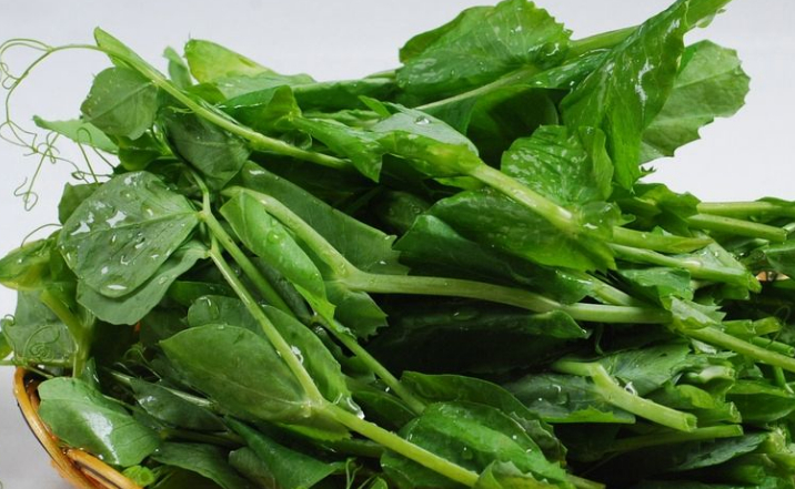 豌豆_豆苗_口感