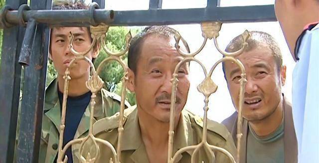 春天里主要讲了什么?_电视剧_谢老大_苏秋月