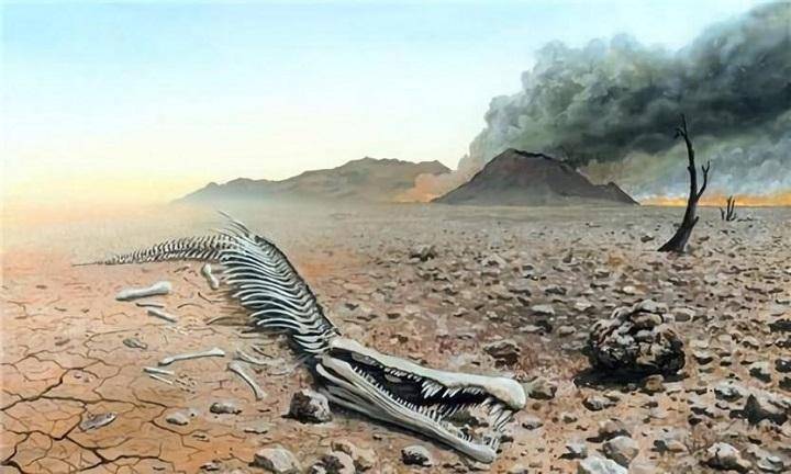 第二次就是发生在泥盆纪晚期,又被称为泥盆纪晚期灭绝事件.