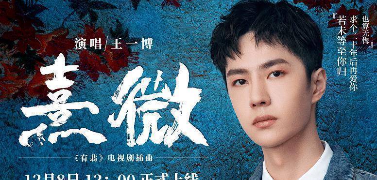 王一博_歌曲_网友