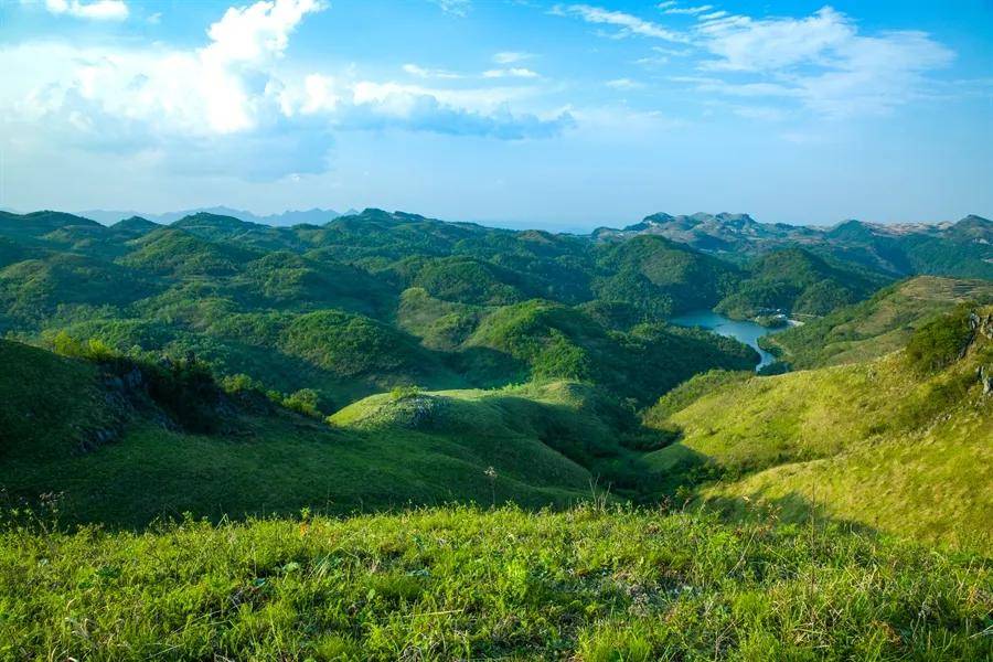 桑植景点图片