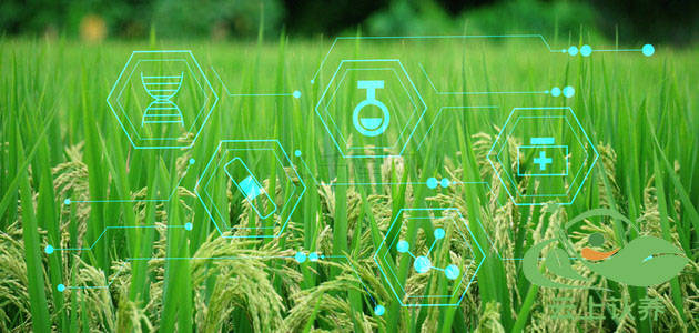 通过互联网技术让农业,养殖业的种养过程