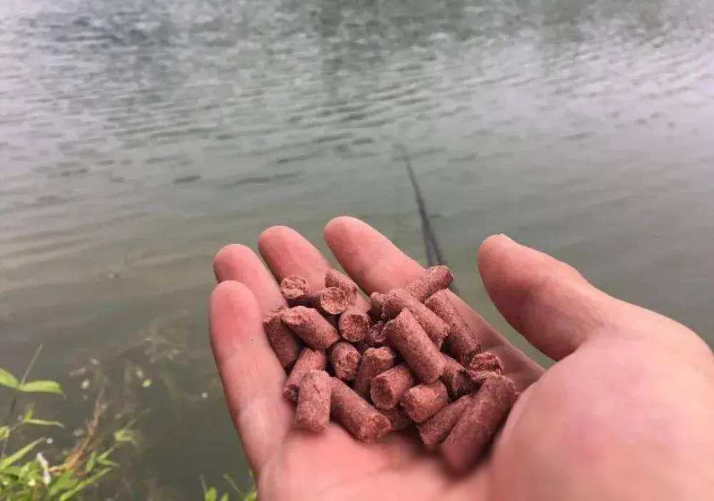 鲫鱼在水温低的时候开口比较弱,所以要选择味道浓郁的窝料,并且注意