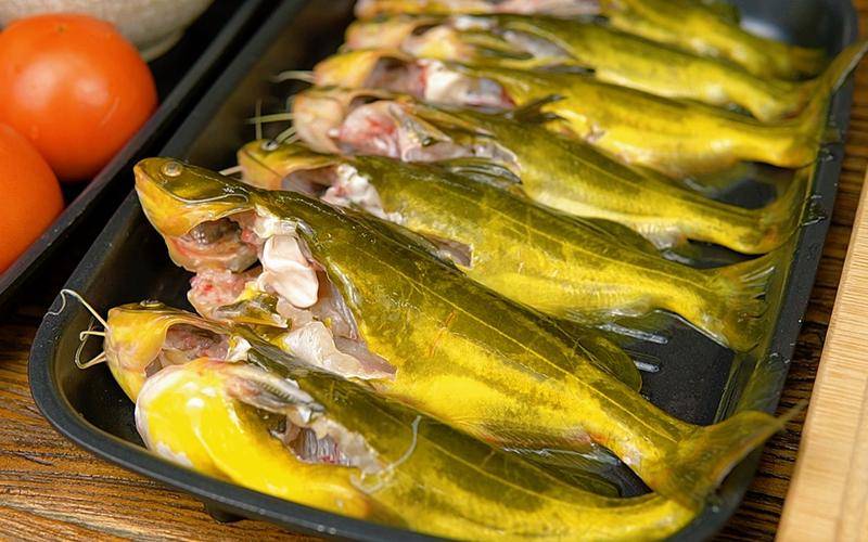 广西渔之情农业开发有限公司黄骨鱼养殖市场行情_价格_风险_的发展