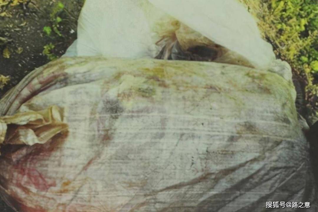 原创坐20年牢出狱3个月失踪2002年涿州市115碎尸案侦破始末