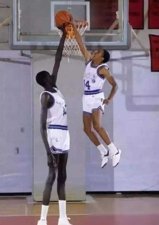 nba历史最强臂展怪后卫阵容文班亚马未入选