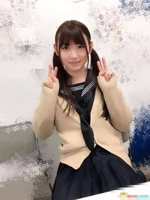 类似于我国蓝翔这种职业培训,招生对象可以是初中生,也可以是高中生