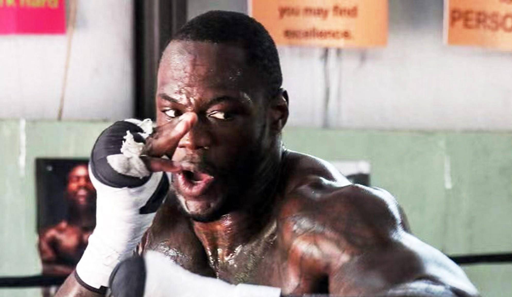 原创动真格了维尔德正式投入训练疑似为6月大战张志磊做准备