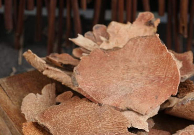 原创农村一种带刺的草藤摘一把来泡酒7日经常喝能治风湿腰腿痛