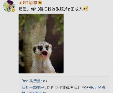 玩坏爸爸吴镇宇头像,遭网友们调侃作业太少_照片_动物_小男孩
