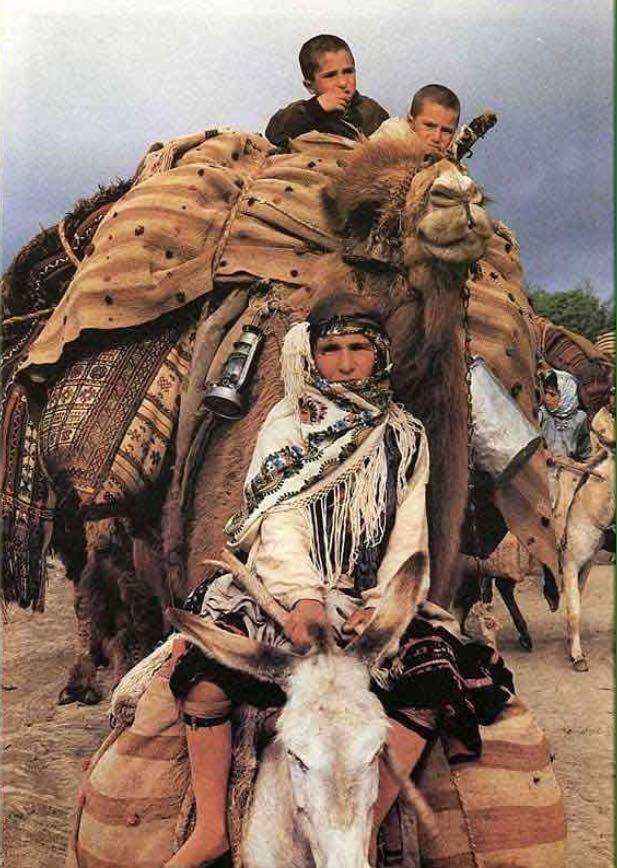 原创为抵抗游牧民族库尔德人被迫迁移到东方现在人口已达到200万